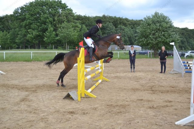 reitertag 2013 86